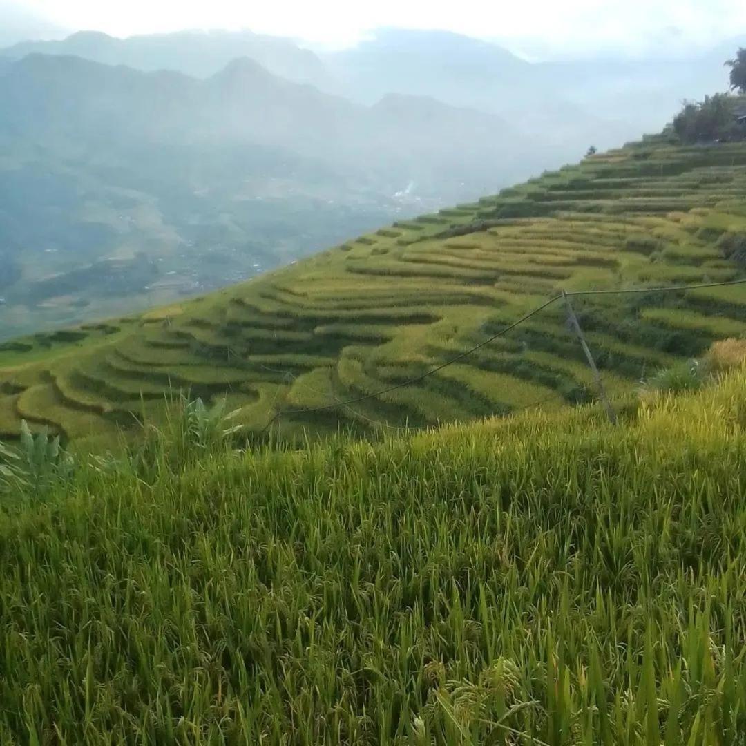 Sue Pa Family Trekking Homestay Sa Pa Exterior photo